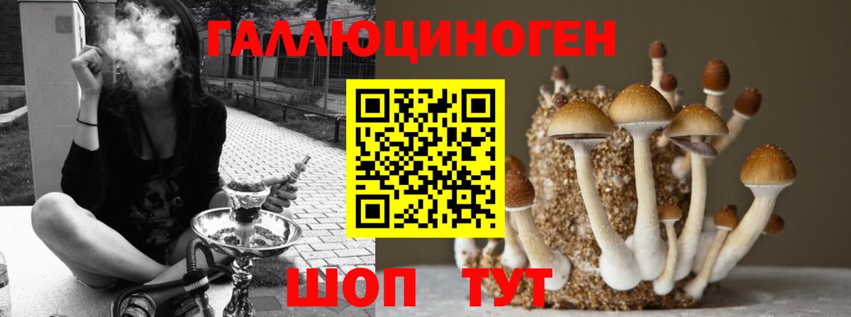 Екатеринбург  наркотики  Псилоцибиновые грибы Psilocybe  Вход с VPN  Псилоцибиновые грибы ЛСД 